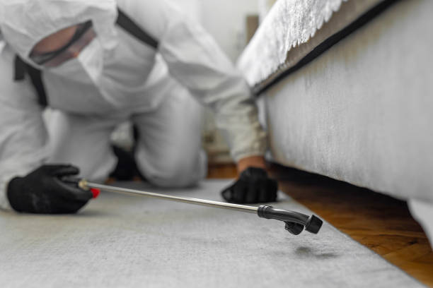 Professional Bed Bug Control technician working in Perth Amboy, NJ