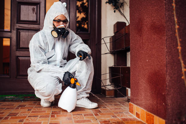 Reliable Bed Bug Control contractor in Perth Amboy, NJ by Nex Pest Control