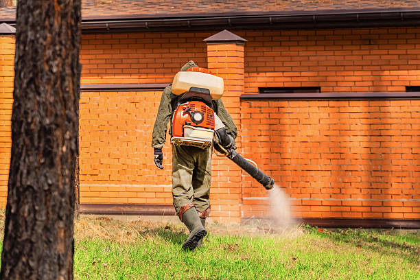 Trusted Cockroach Control service in Perth Amboy, NJ - Nex Pest Control